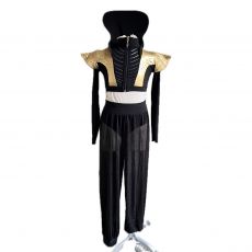 Character/Musical Theatre Dance Costumes