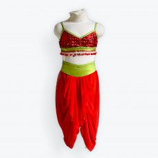 Character/Musical Theatre Dance Costumes