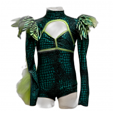 Character/Musical Theatre Dance Costumes