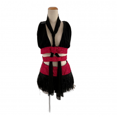 adult used dance costume