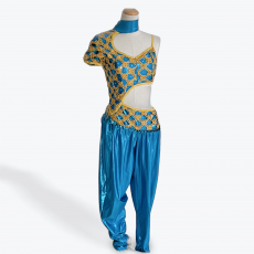 Character/Musical Theatre Dance Costumes