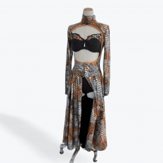 Character/Musical Theatre Dance Costumes